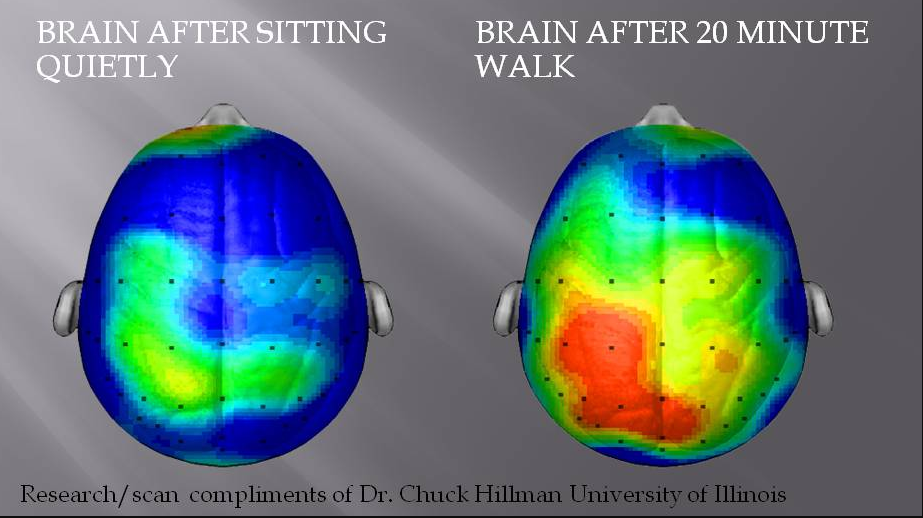 Read more about the article How exercise affects your brain