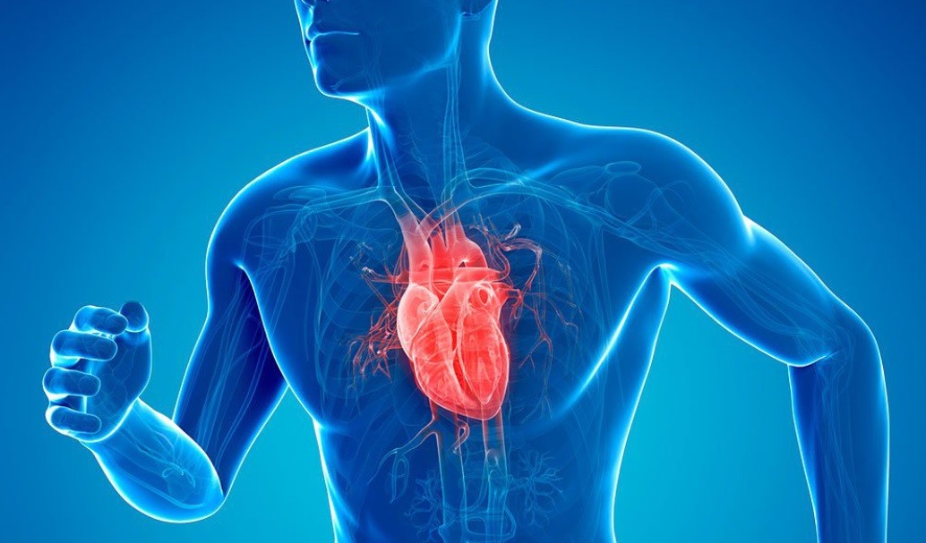 Read more about the article Keeping your heart healthy is simple.